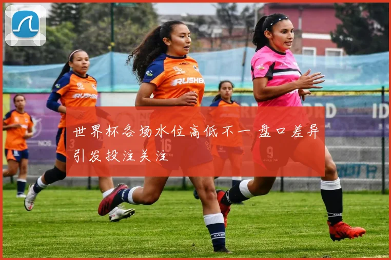 世界杯各场水位高低不一 盘口差异引发投注关注
