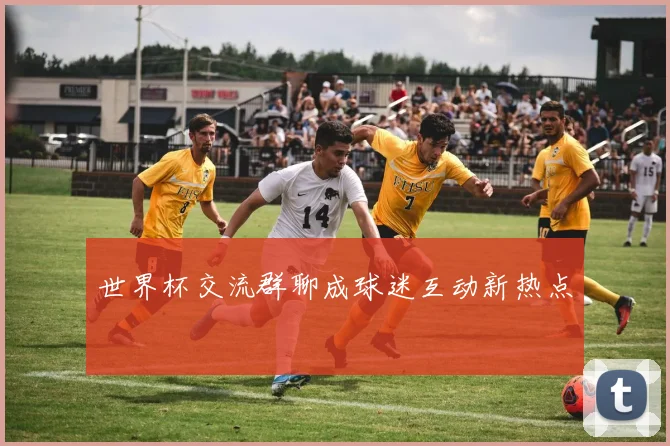 世界杯交流群聊成球迷互动新热点