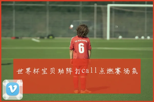 世界杯宝贝助阵打call点燃赛场氛围